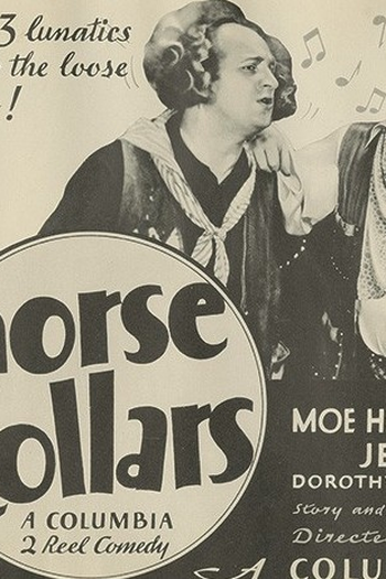 Poster de Curta Um Cavalo e Três Cavalgaduras (1935)