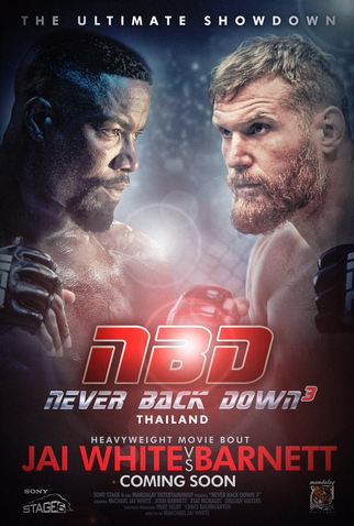 Poster 1 de Filme Quebrando Regras 3: Não Se Rendam (2016)