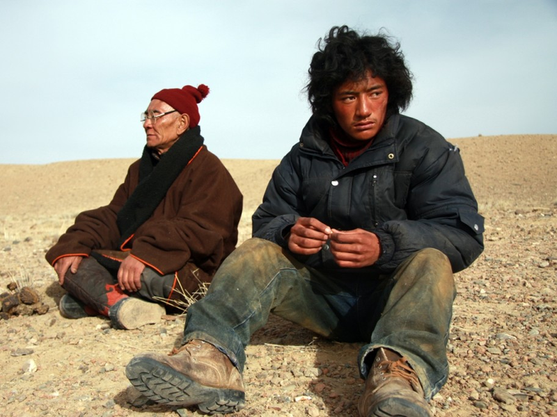 Foto 1 de The sun beaten path