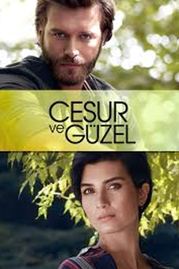 Poster de Série Brave and Beautiful (2016)