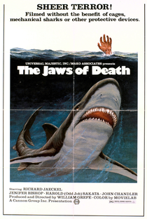 Mako: O Tubarão Assassino - Poster / Capa / Cartaz - Oficial 3