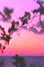 Voyage to the Center of the Phone Lines (Voyage to the Center of the Phone Lines)