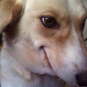 Foto de perfil de Igor
