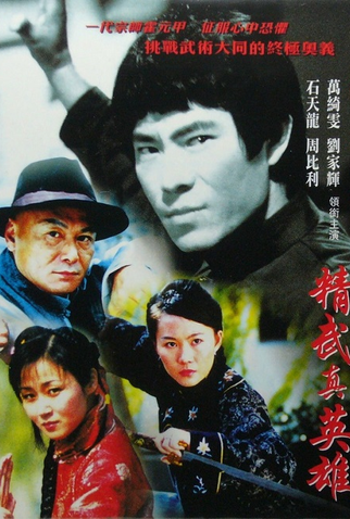 Poster 1 de Filme Dragon in Fury (2004)