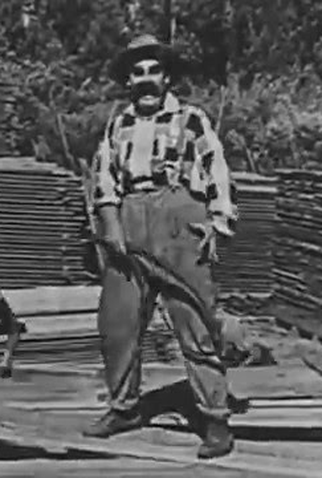 Poster 4 de Curta Na serraria (1922)