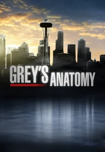 Grey's Anatomy (23ª Temporada) (Grey's Anatomy (Season 23))