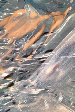 After Creation After Icebergs (After Creation After Icebergs)