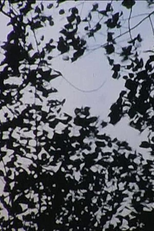 Caterpillar (Caterpillar)