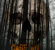 Case No. 666/2013