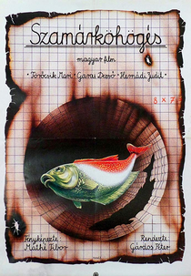 Szamárköhögés (Szamárköhögés)