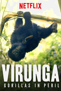 Virunga: Gorillas in Peril - Poster / Capa / Cartaz - Oficial 1