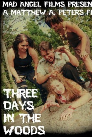 Poster 1 de Filme Three Days in the Woods (2010)