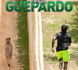 Homem vs. Guepardo