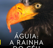 Águia: A Rainha do Céu