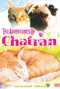 As Aventuras de Chatran - Poster / Capa / Cartaz - Oficial 4
