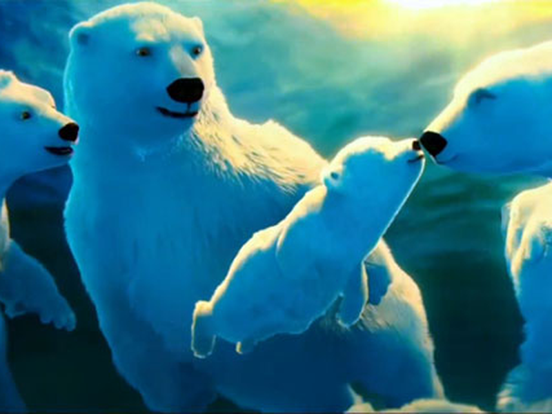 Foto 1 de The Polar Bears