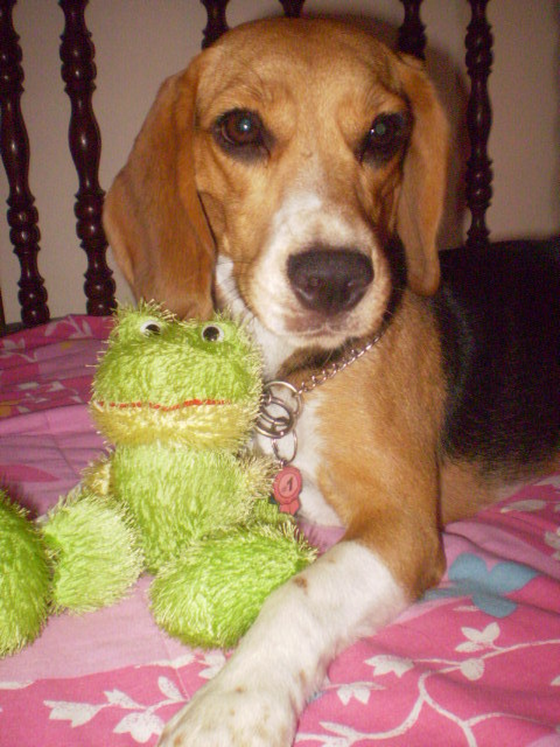 Cristina - Foto 3