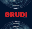 Grudi