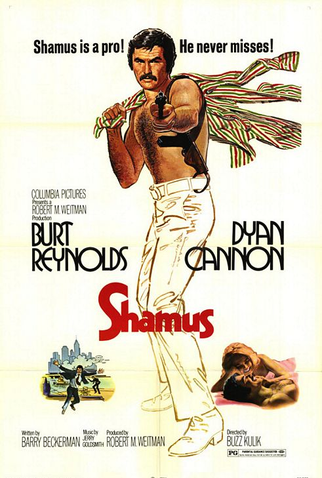 Poster 1 de Filme Paixão pelo Perigo (1973)