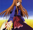 Spice and Wolf