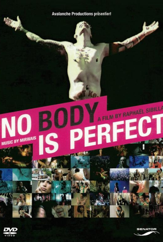 Poster 1 de Filme No Body Is Perfect (2006)
