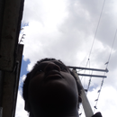 Foto de perfil de Paulo