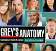 A Anatomia de Grey (9ª Temporada)