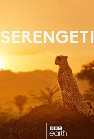 Poster 1 de Série Serengeti (2019)