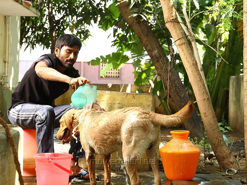 Foto 1 de Velaiyilla Pattathari