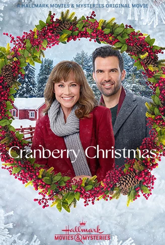 Poster 1 de Filme Um Reencontro Natalino (2020)