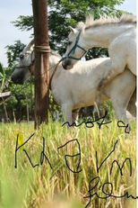 The Muzzled Horse of an Engineer in Search of Mechanical Saddles (The Muzzled Horse of an Engineer in Search of Mechanical Saddles)