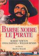 Barba Negra, o Pirata (Blackbeard the pirate)