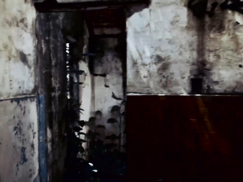 Foto 3 de Como Restaurar Uma VHS?