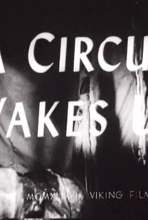 A Circus Wakes Up - Poster / Capa / Cartaz - Oficial 1