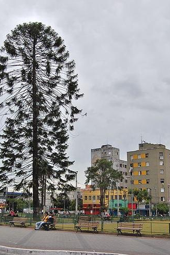 Poster de Curta Brás: Sotaques e Desmemórias (2006)