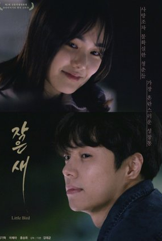 Poster 1 de Filme Little Bird (2021)