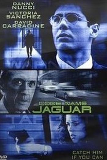 Poster de Filme O Esquema (1998)