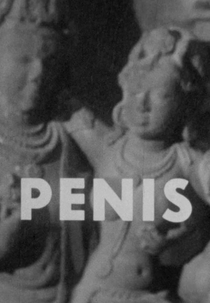 Penis (Penis)