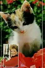 Rue McClanahan: The Cat Care Video Guide (Rue McClanahan: The Cat Care Video Guide)