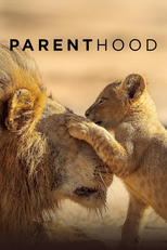 Parenthood (Parenthood)