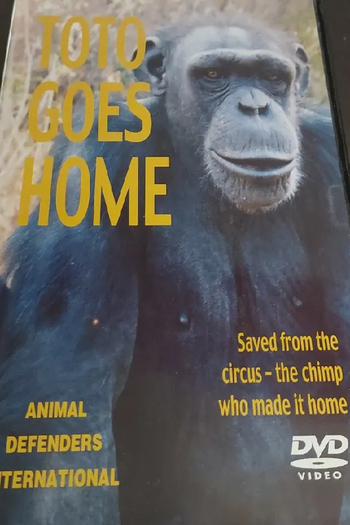  de Curta Toto Goes Home (2003)
