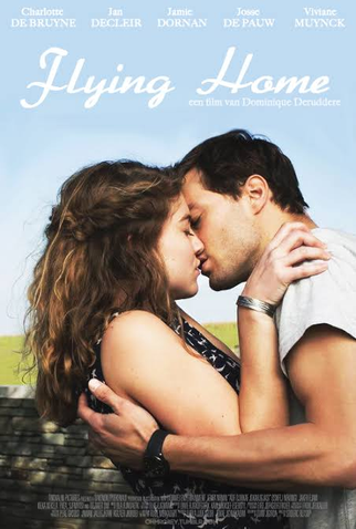Poster 4 de Filme Voando Para Casa (2014)