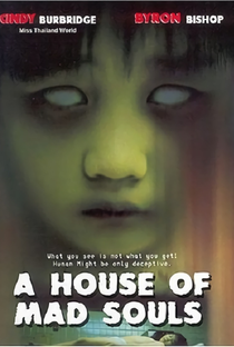 A House of Mad Souls - Poster / Capa / Cartaz - Oficial 1