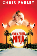 Um Ninja da Pesada (Beverly Hills Ninja)