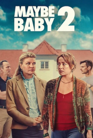 Poster 1 de Filme Troca de Bebês 2 (2024)