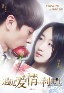 Love & Life & Lie (遇见爱情的利先生)