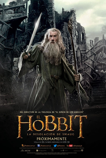 O Hobbit: A Desolação de Smaug - Poster / Capa / Cartaz - Oficial 19