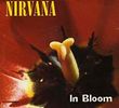 Nirvana: In Bloom