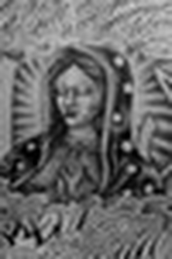 Poster de Curta Maneko (2010)