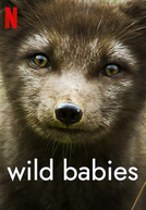 Filhotes Selvagens (1ª Temporada) (Wild Babies (Season 1))